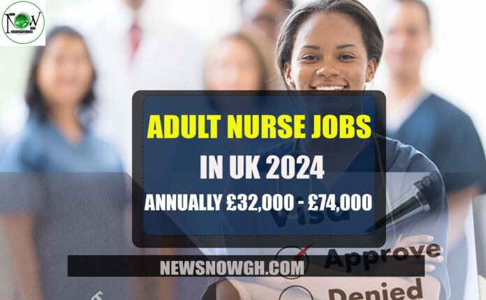 Adult Nurse Jobs in UK