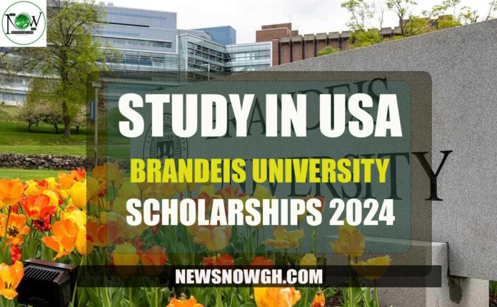 Brandeis University Scholarships