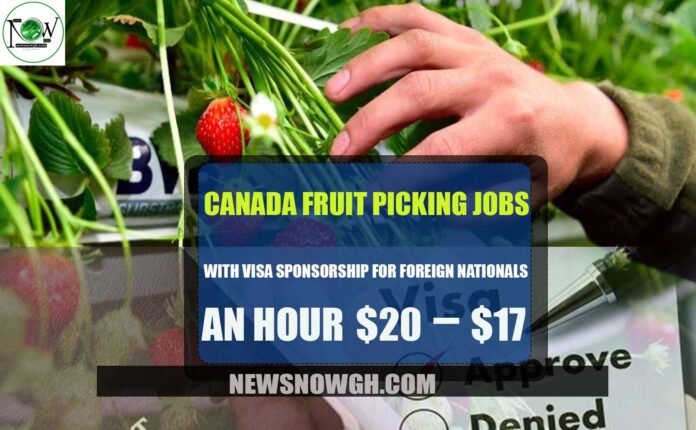 Canada Jobs with Sponsorship