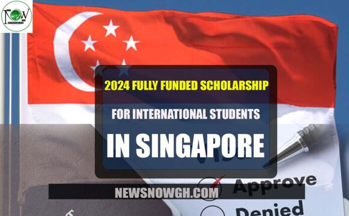 Scholarship For International Students in Singapore