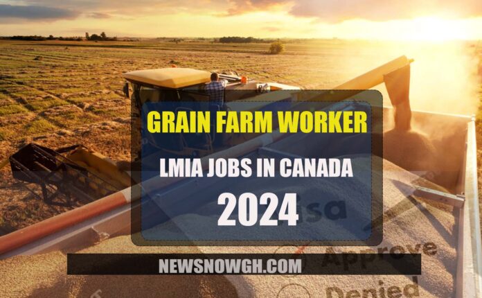 LMIA Jobs in Canada