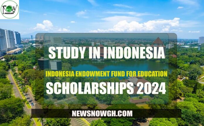 Indonesia Endowment Fund For Education Scholarship