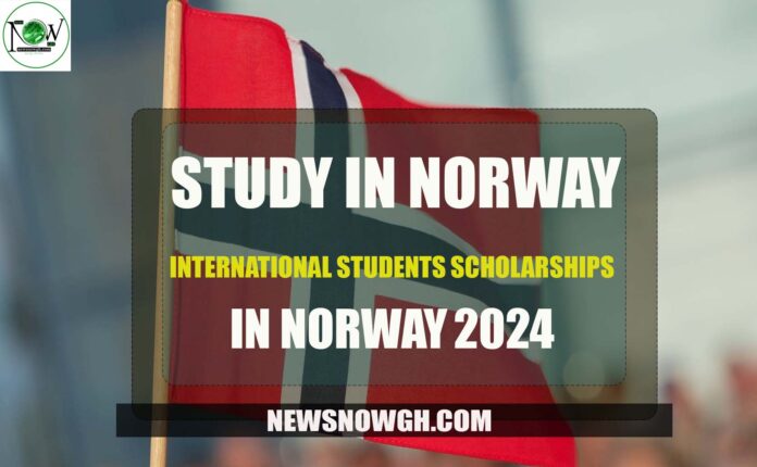 International Students scholarships in Norway