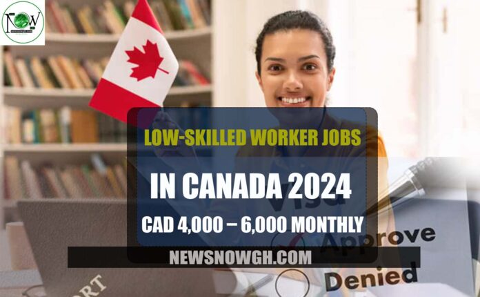International Experience Canada 2024