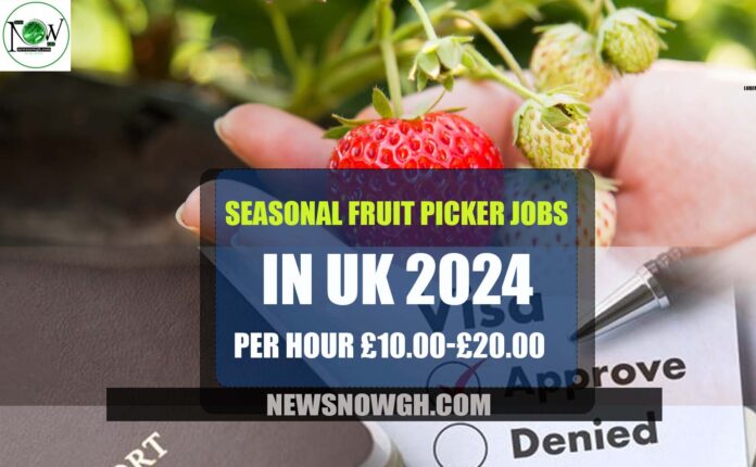 Seasonal Fruit Picker Jobs