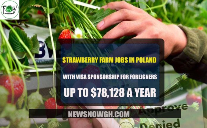 Strawberry Farm Jobs in Poland