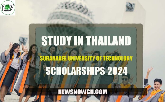 Suranaree University Of Technology Scholarships