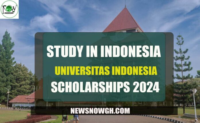 Universitas Indonesia Scholarships