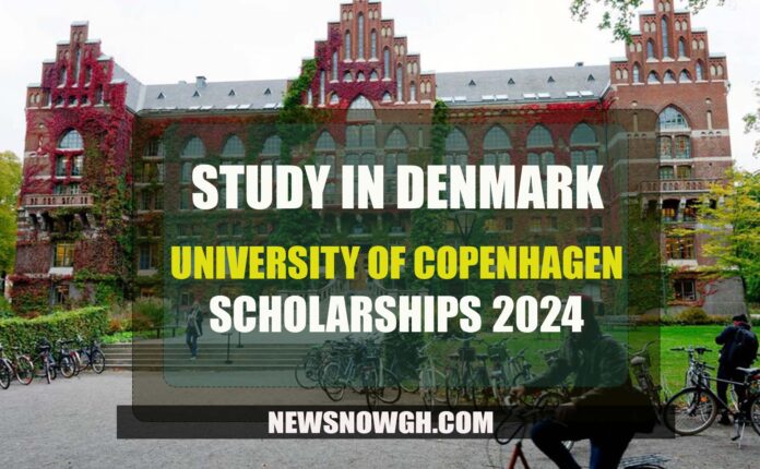 University Of Copenhagen Scholarships