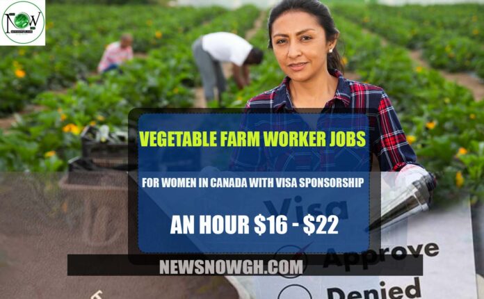 Vegetable Worker Jobs in Canada
