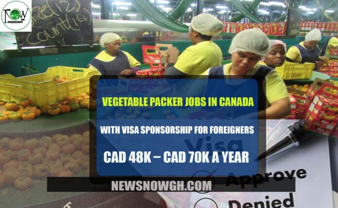 Vegetable Packer Jobs in Canada