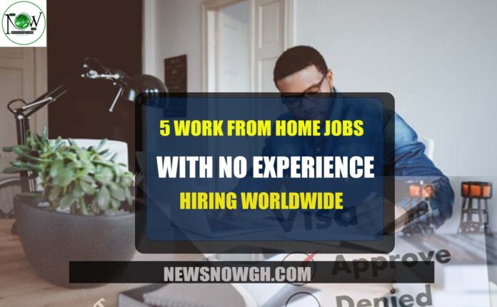 Work From Home Jobs