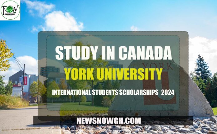 York University International Student Scholarships