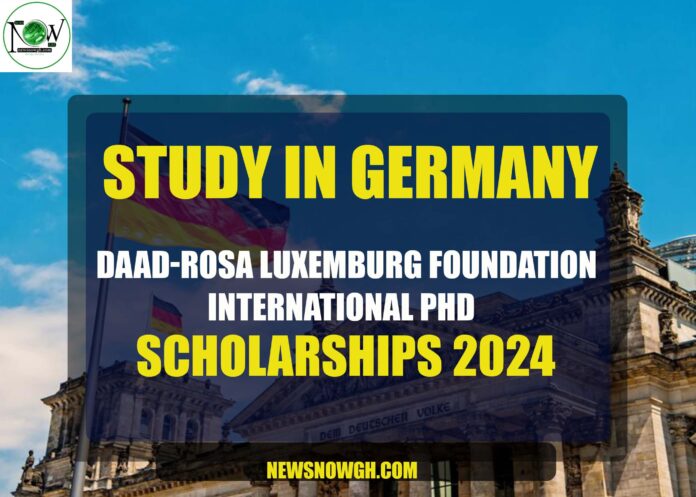DAAD-Rosa Luxemburg Foundation scholarships