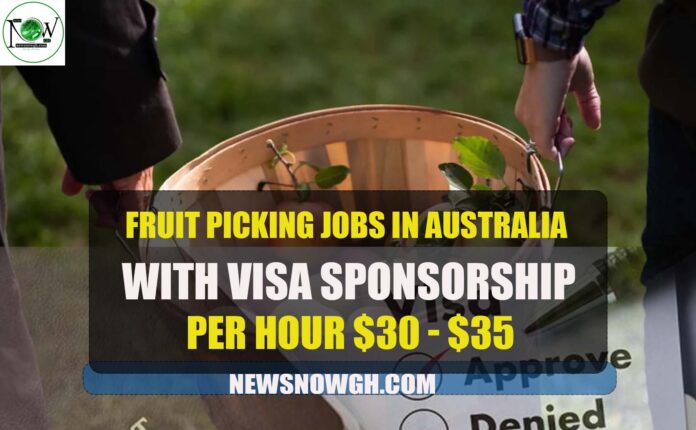 Fruit Picking Jobs in Australia