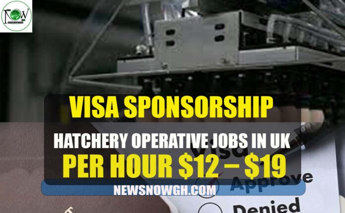 Hatchery Operative Jobs in UK