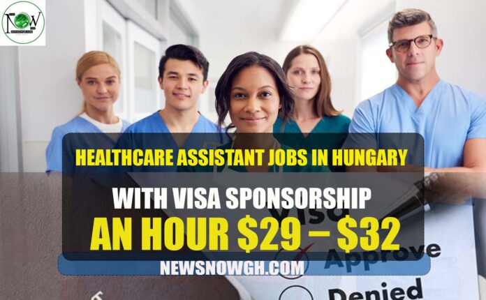 Healthcare Assistant Jobs in Hungary