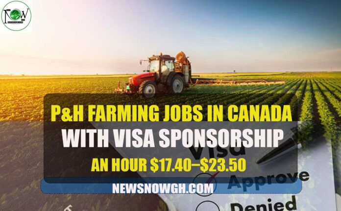 P&H Farming Jobs in Canada