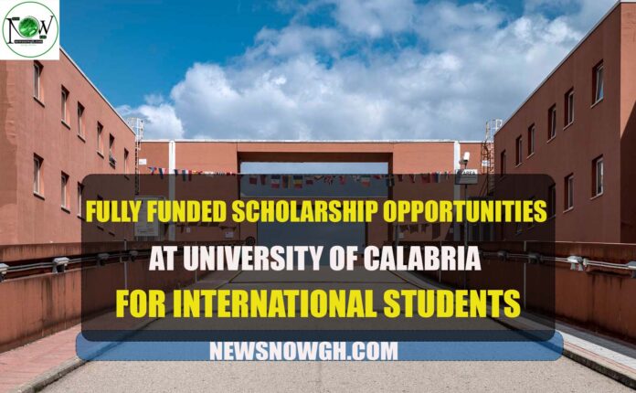 Scholarship at University of Calabria