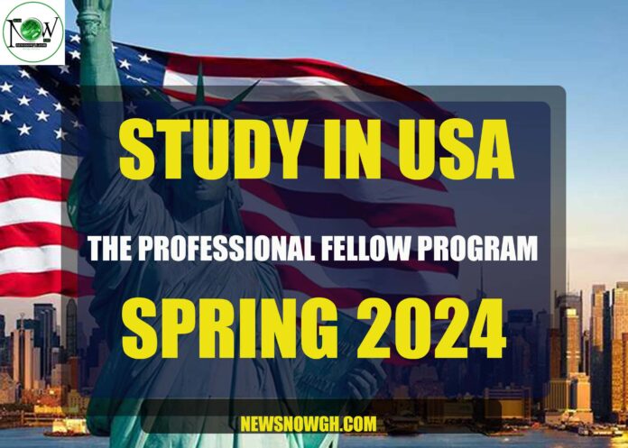 The Professional Fellow Program