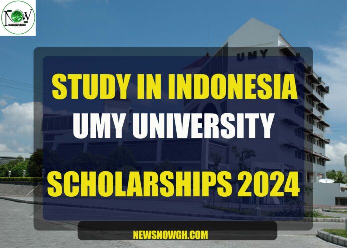 UMY University Scholarships