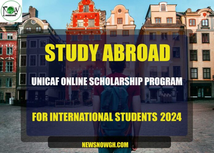 UNICAF Online Scholarship Program