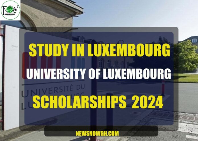 University Of Luxembourg scholarships
