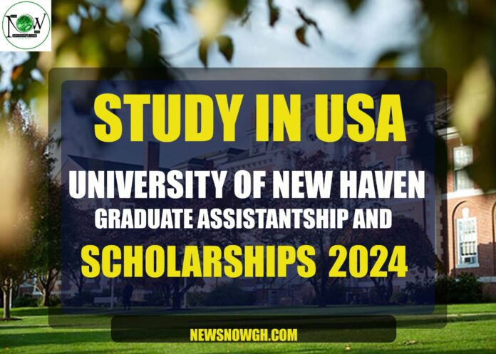 University Of New Haven Graduate Assistantships And Scholarships