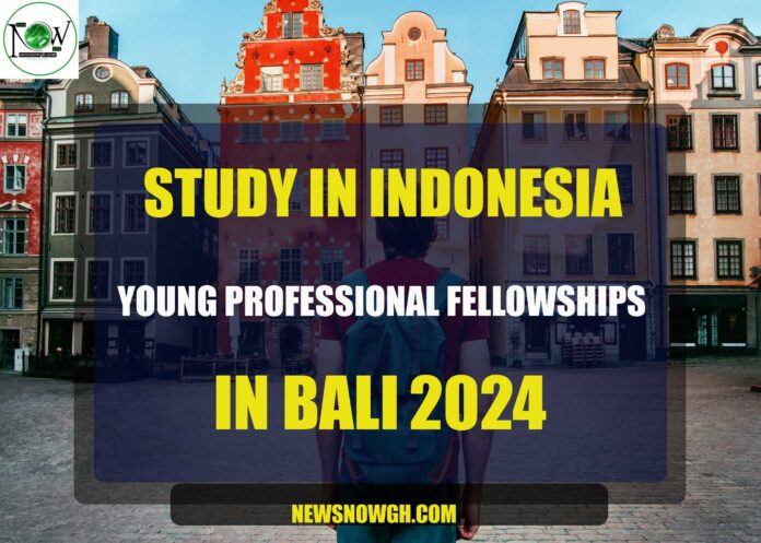 Young Professional Fellowships in Bali