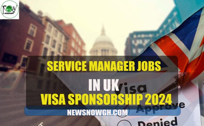 service manager jobs