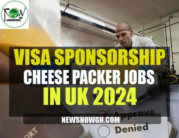 Cheese Packer Jobs