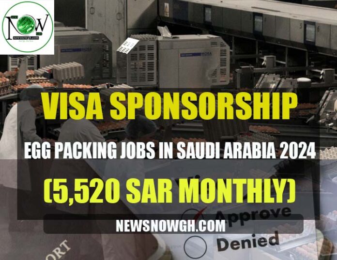 Egg Packing Jobs in Saudi Arabia