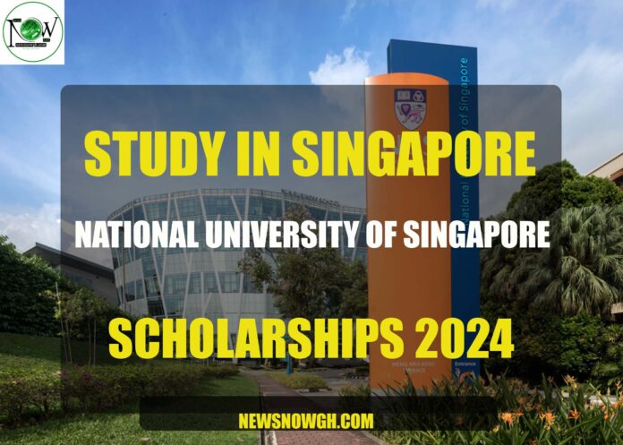 National University Of Singapore scholarships