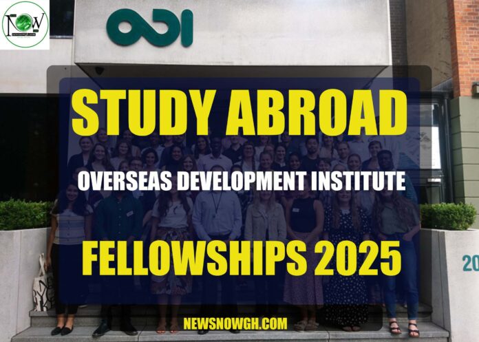 Overseas Development Institute Fellowships