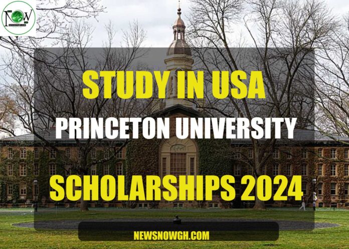 Princeton University scholarships
