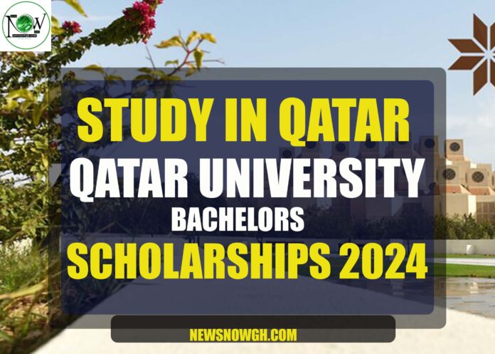 Qatar University Bachelors Scholarships