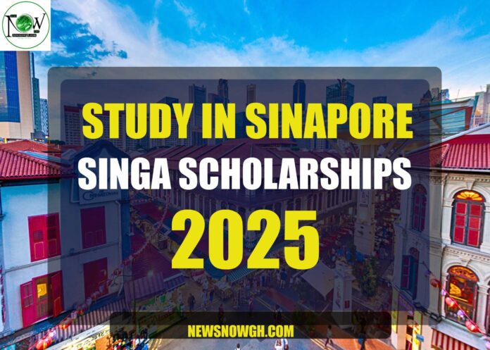 SINGA Scholarships 2025