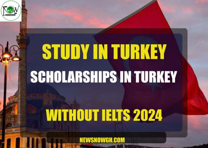 Scholarships In Turkey
