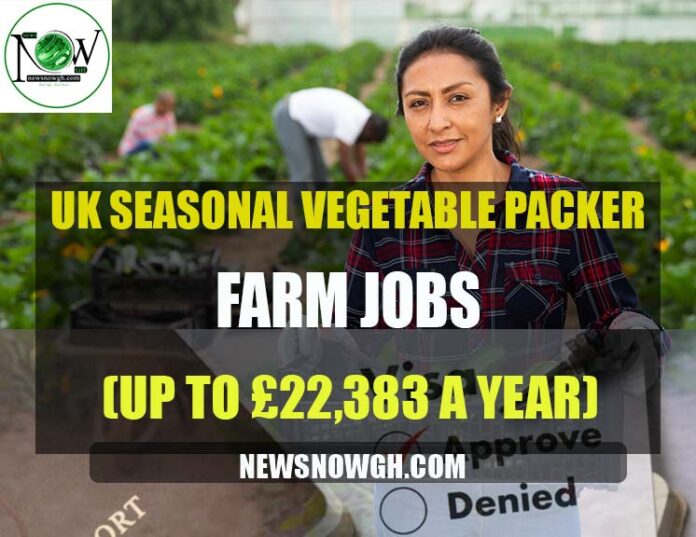 UK Seasonal Vegetable Packer Farm Jobs