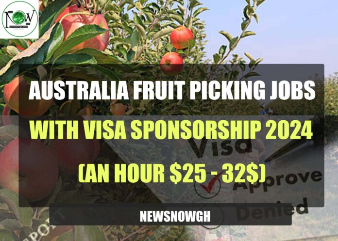 Australia Fruit Picking Jobs
