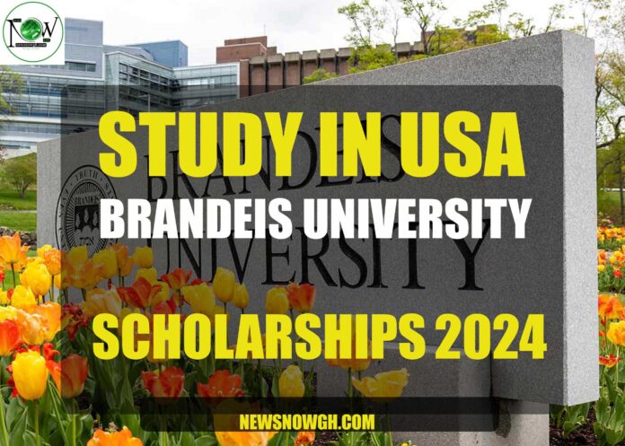 Brandeis University scholarship