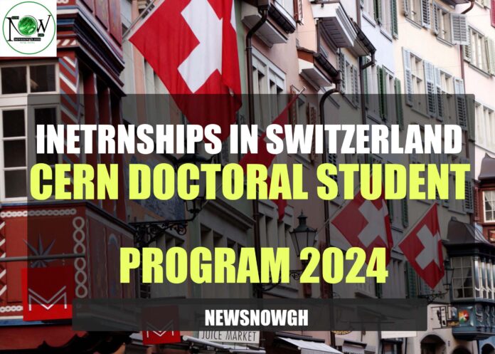 CERN Doctoral Student program
