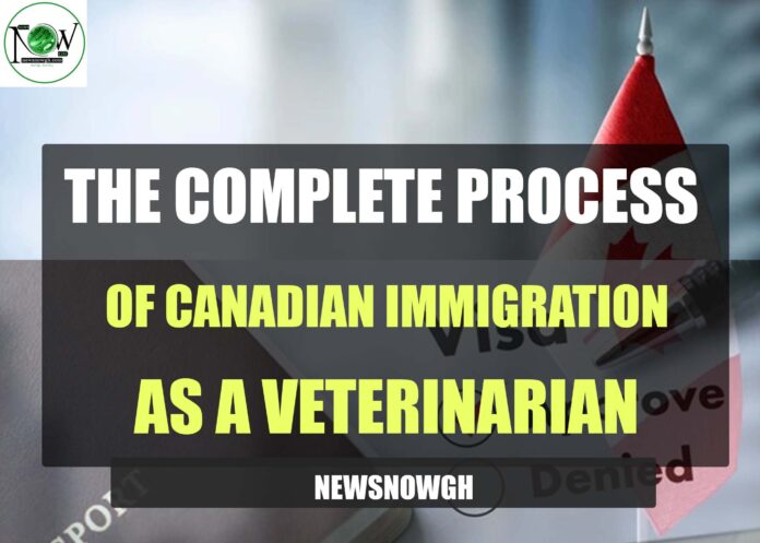 The Complete Process of Canadian Immigration as a Veterinarian