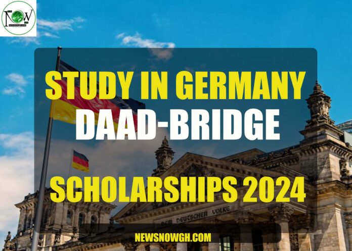 DAAD-Bridge Scholarships