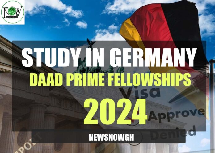 DAAD Prime Fellowships 2024