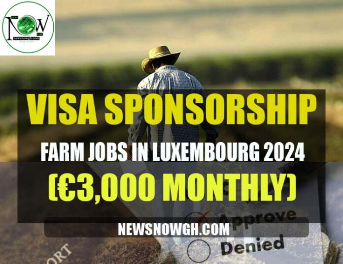 Farm Jobs in Luxembourg 2024