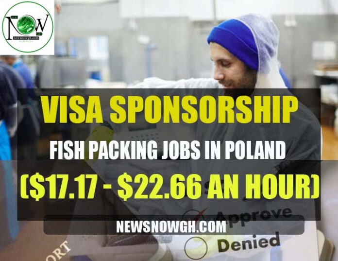Fish Packing Jobs in Poland