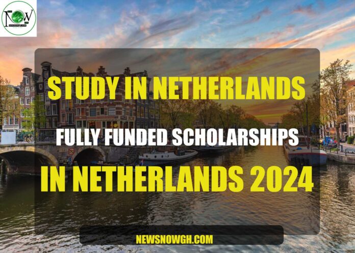 Fully Funded Scholarships in Netherlands