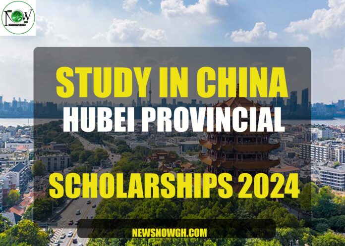 Hubei Provincial scholarship