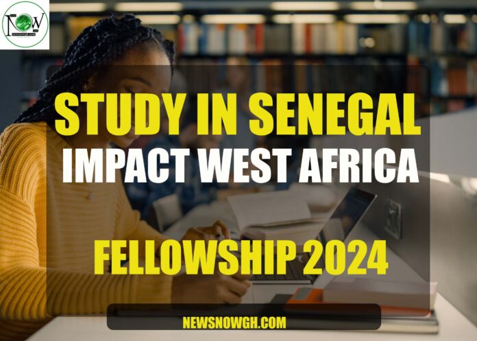 Impact West Africa Fellowship